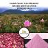 Rose petal powder 1 lb / 454 grams