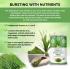 Wheat grass juice powder 7 oz / 200 grams