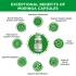 Moringa Leaf 120 Veg Capsules