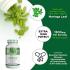 Moringa Leaf 120 Veg Capsules