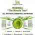 Moringa leaf Powder 200 Grams / 7 oz